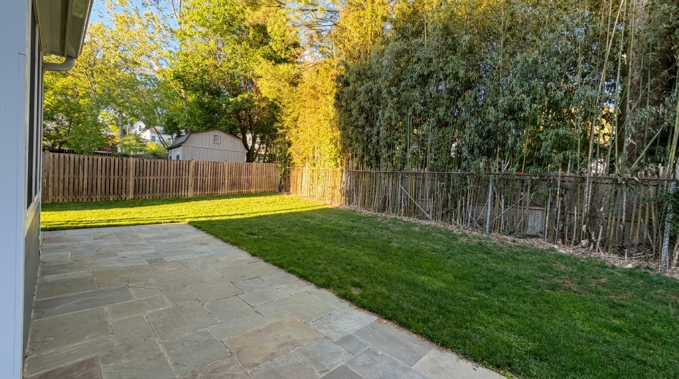 The Garden